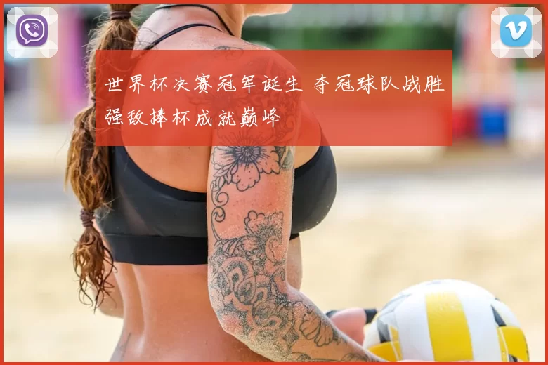 世界杯决赛冠军诞生 夺冠球队战胜强敌捧杯成就巅峰